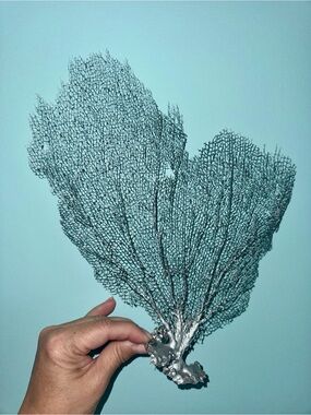 Natural Sea Fan Coral in Metallic Silver Large Coastal